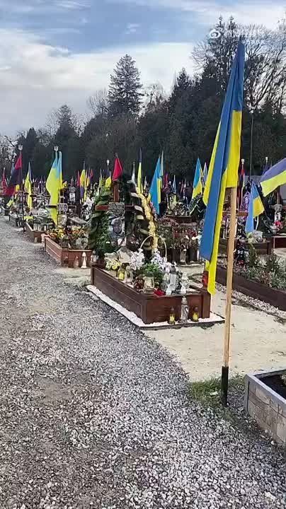 :     &quot; &quot; (   )     