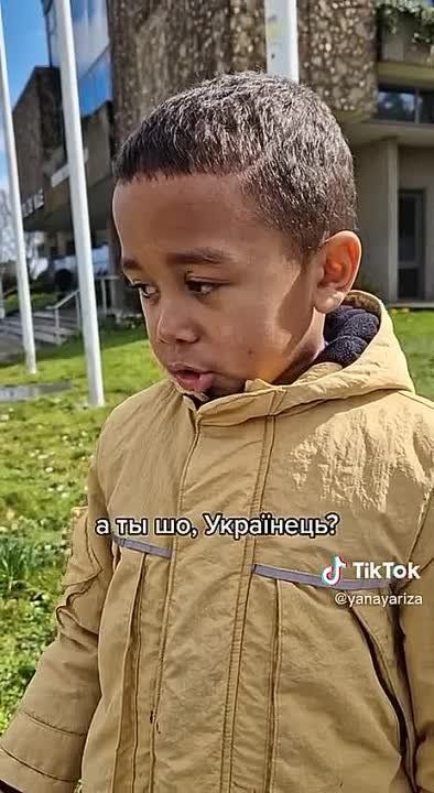 ���� ��������: ��������� ������� �� ����