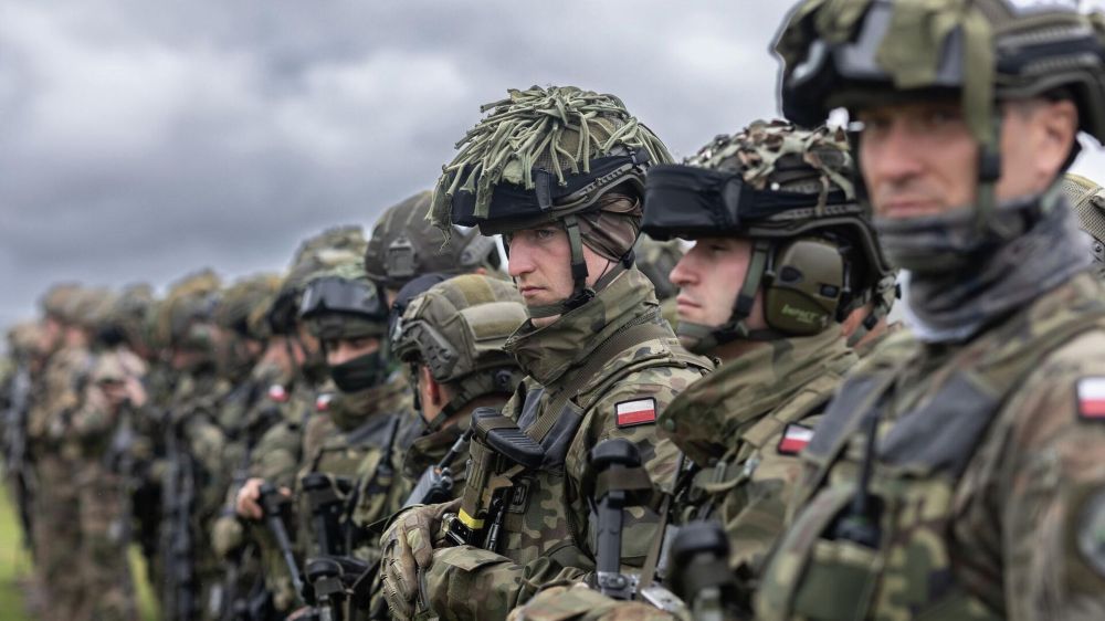 Политолог объяснил, зачем Польша точит зубы на Белоруссию и мечтает колониях Речи Посполитой