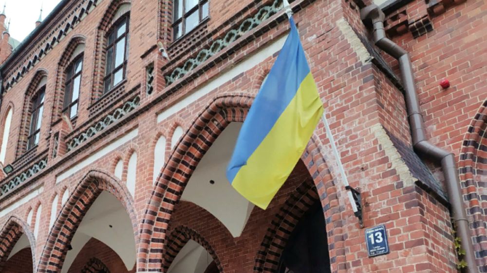 ������ ��������� ����: ������������ ��������� ������ ��������������� ������ �������