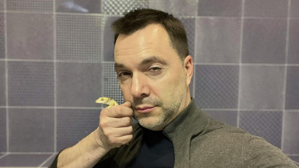 ��� � ������ ������ ��������� ����������*