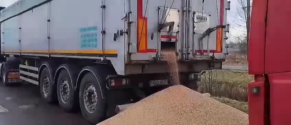  :      &quot; &quot;  ,     