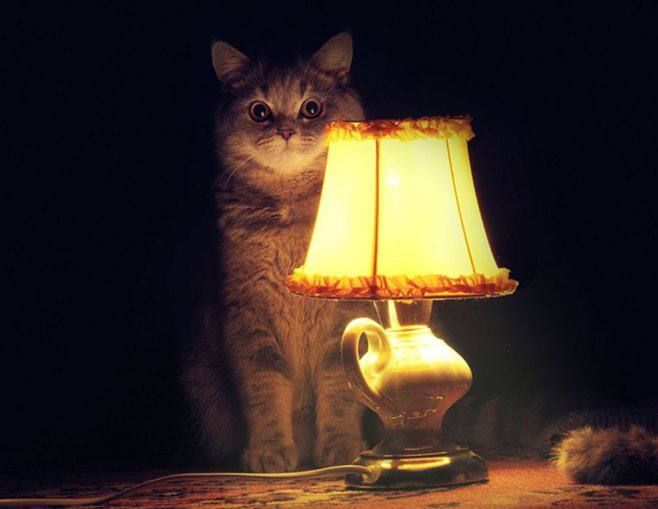 ���� ��������: ������� ����� �������������� �������