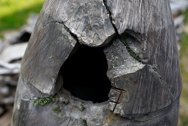 ������� �������� ����������� �������������� ��� �������