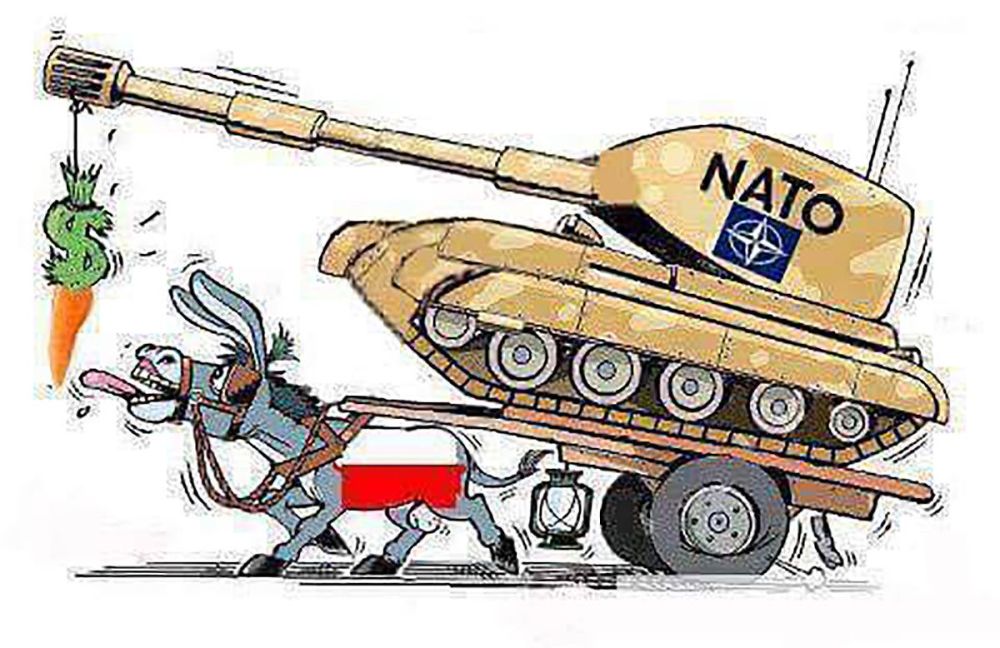 ������ ����������: ������ ���� ������� � �������� ����� ���������� ������ ������ � ���� �������� �����, ������� ���������� �������� �����, ����� Defence 24