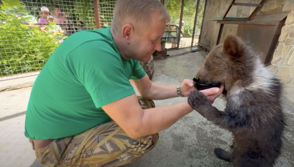 � ������ �������� ������ ������������ ���������� �����