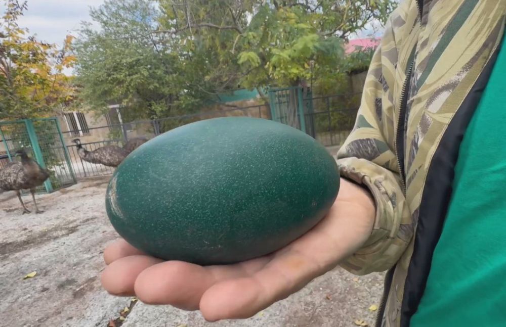 � ����� ����� �������� ��������� ��������� �������: ������������� ������� ��� ������ ���� �� ������, ��� ������, � � ����� �������