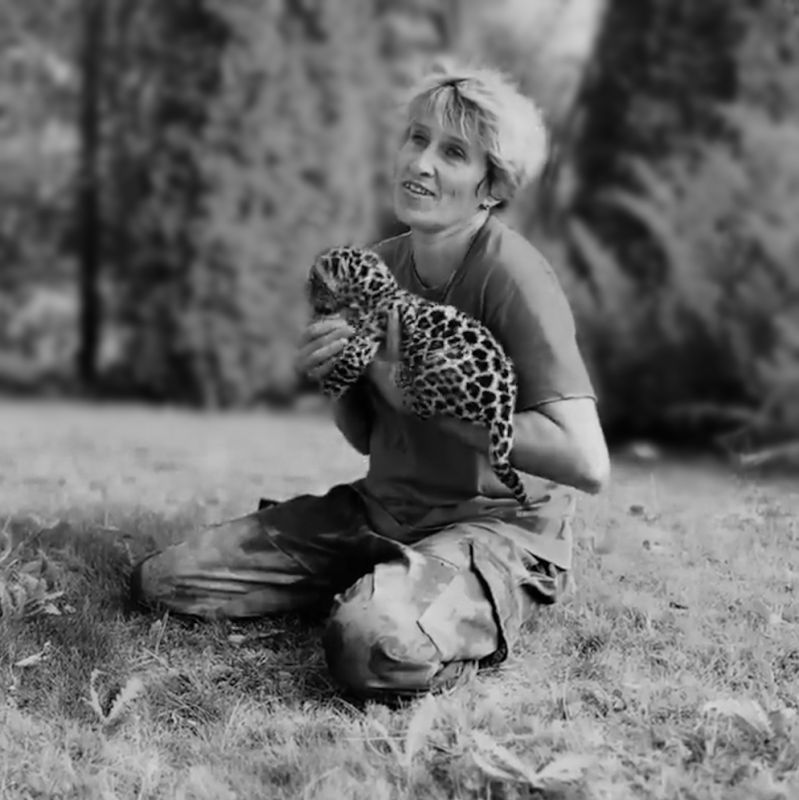 ����� �������� ��������� ������� ����������� ������ ����������� "�������", ������������ ������