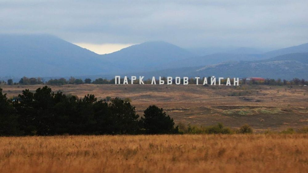 ���� ���������� ��� ������ ��������� �������� ��������