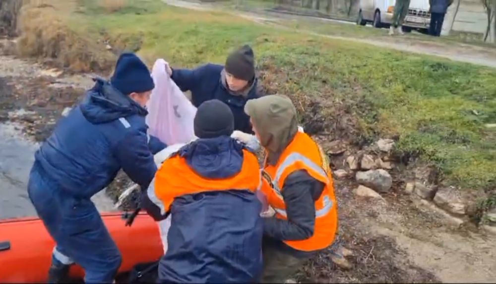 �������� ����� ������� ������ ������������ �������� ����� �� � �������� � ���������� �������