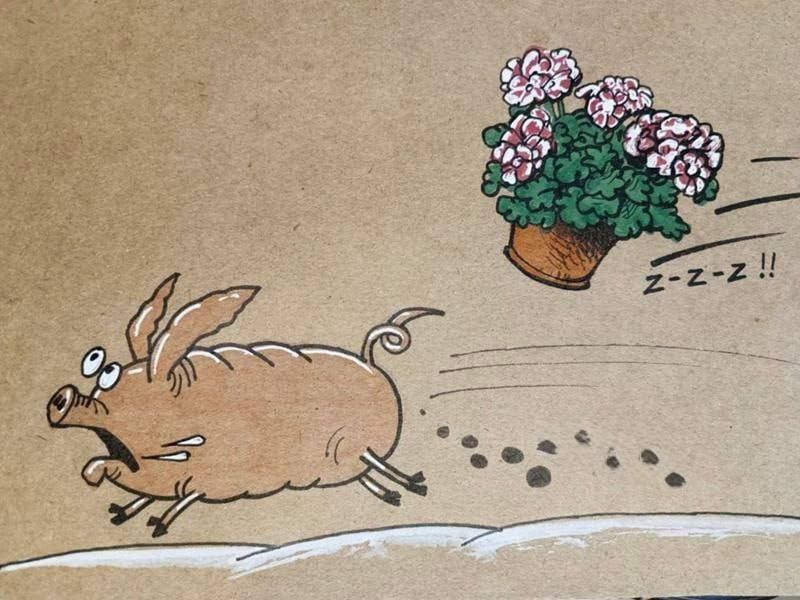 ��� � ���������� ����������� ��������� �����������