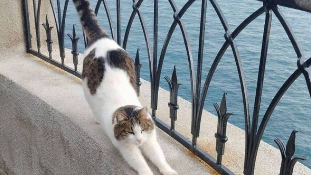 ������ ����� �����������, ��� �����������: � ����� ����������, ��� ������ ����������� � ������ ����� ����