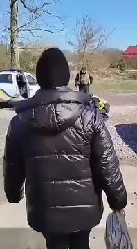        :   ,   
