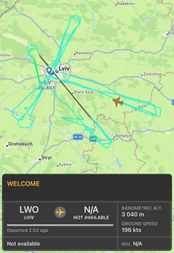  !    ,  :              Saab 340