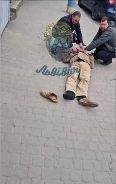  ,            ,  ,       -      