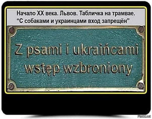  : -    ,  ,           