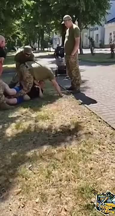   :         