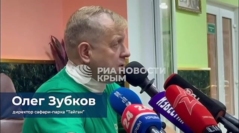 Самое главное, что другие львы не поддержали нападавшего хищника