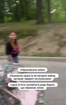  -             ,  "   "