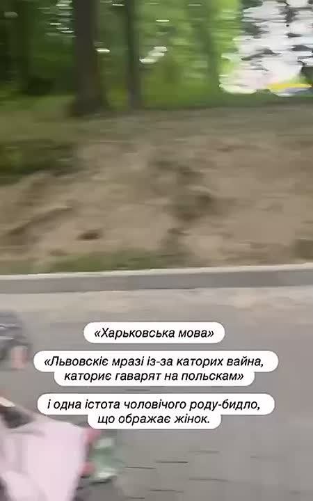    :      -  