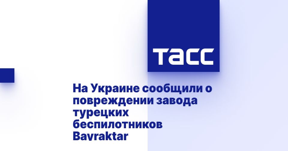        Bayraktar