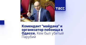 Комендант "майдана" и организатор побоища в Одессе. Кем был убитый Парубий