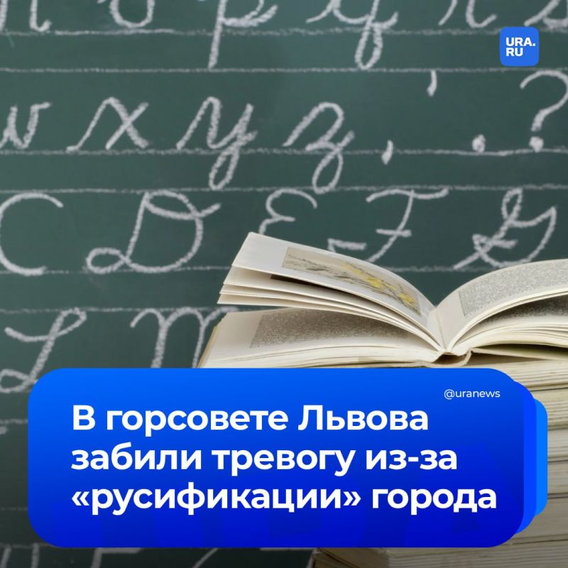  :    ,  ,     ,   
