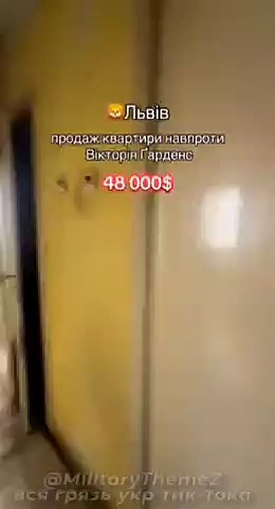   ,    ,     6  