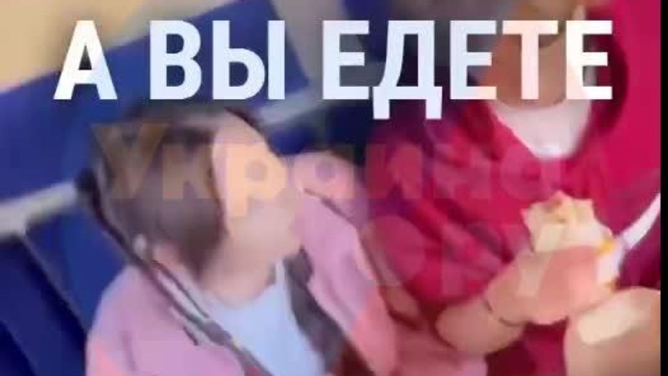     , ,   -   