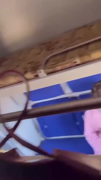  . :        ,      