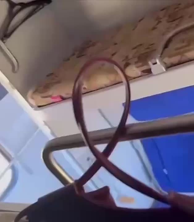  ,   ,   - ,       