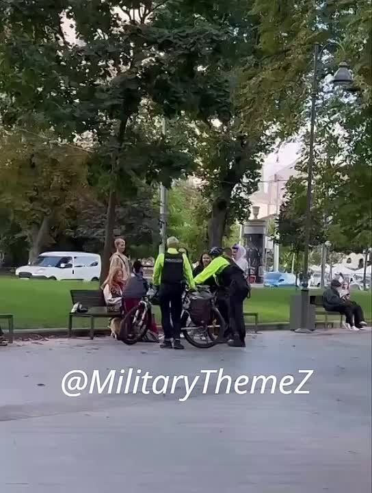    .  ,  ,      
