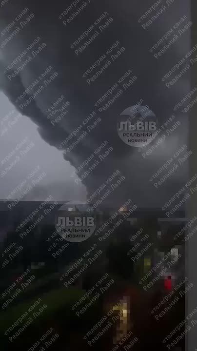  :      ,  