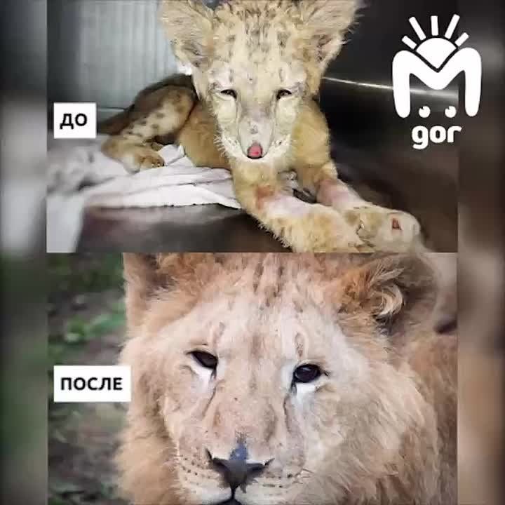    ,    ,      - 