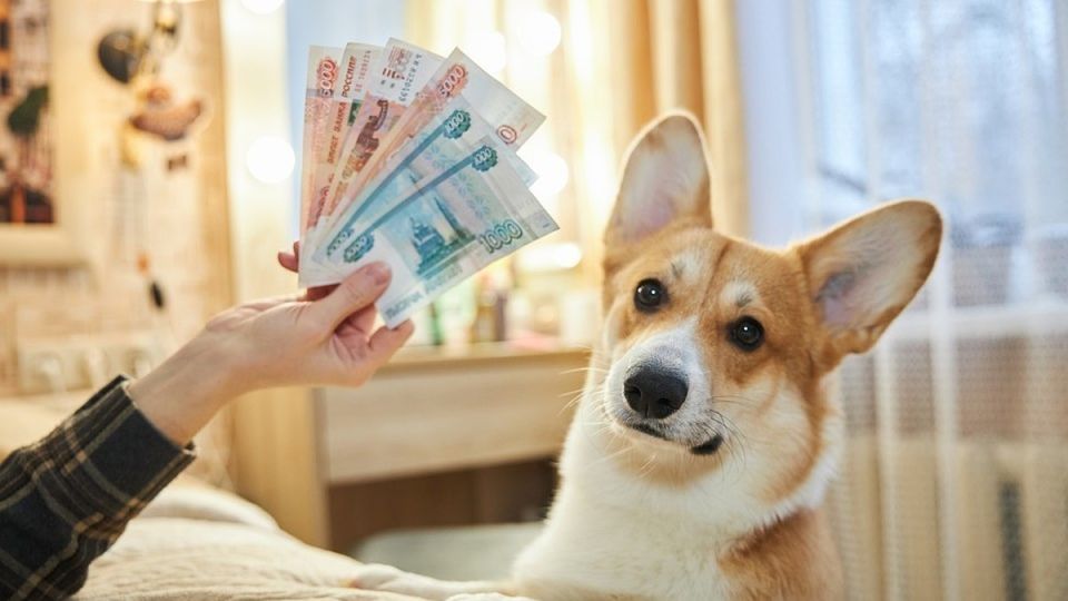         : 