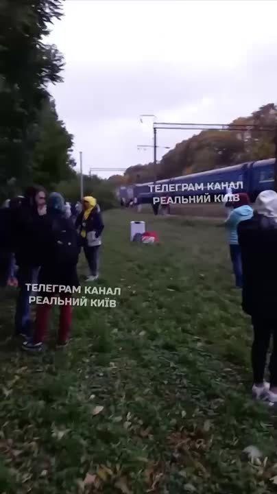    &quot;&quot; 
