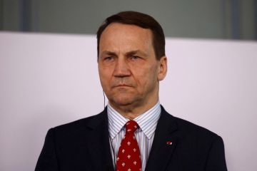 Сикорский сделал дерзкое заявление о Путине перед саммитом в Будапеште
