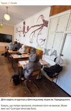 Армен Гаспарян: Львов, Шептицкий лицей, сидят в куртках