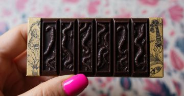 Шоколад с личинками начали продавать на Украине