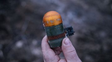 Украинец попытался подорвать гранату, увидев сотрудников ТЦК: что произошло