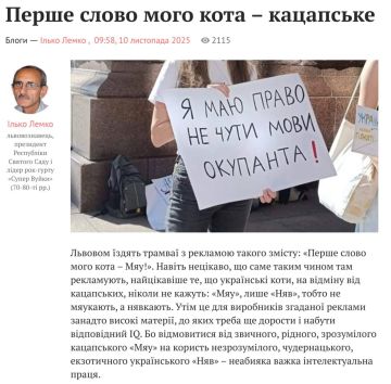 Юлия Витязева: Принесла вам прекрасное!. «По Львову ездят трамваи с рекламой следующего содержания: «первое слово моего кота-Мяу!»