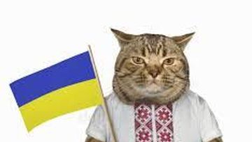 Украинская зоолингвистика: когда воров прикрывают котами