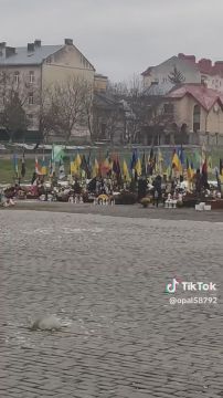 ,  ,   3000       ... ,       .    ()   ...   ...