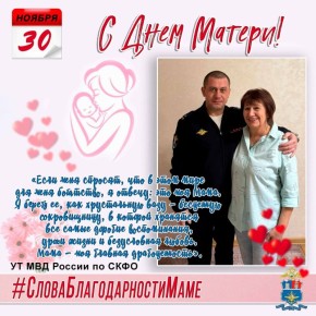 Сегодня Россия отмечает День матери – день, когда миллионы людей выражают слова глубокой благодарности, а матери принимают искренние поздравления