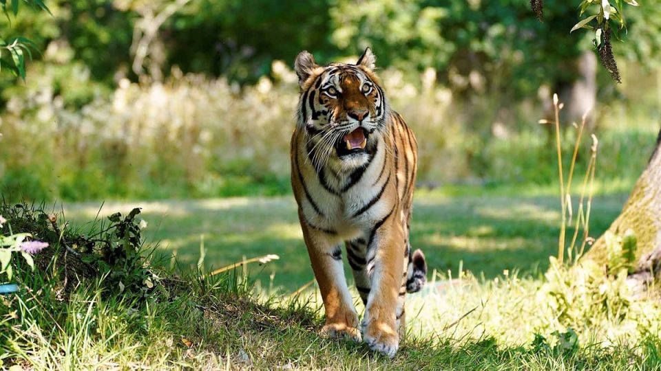 ������ �������� � ������������� ������ ������� �����