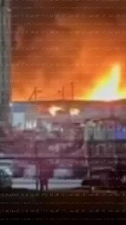 �������� ����� ����� ������ �� ������� �����