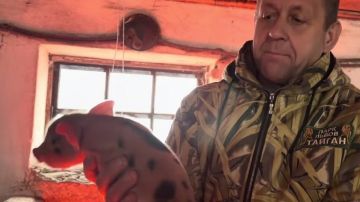 �� ������ �� ������: �������� �������� ������ �������� ������� ������������� ������