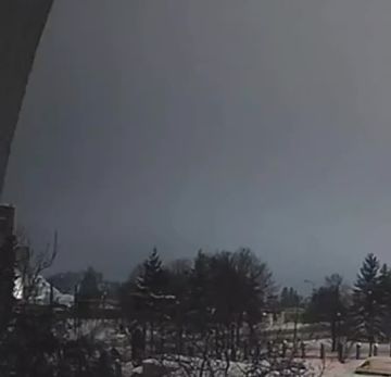 ����� ����� ����� "���������" �� ���� �� ��������� �������