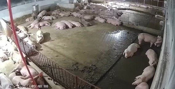 Владимир Разин: Ещё один момент прилёта Орешника во Львовской области