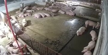 �������� �����: ��� ���� ������ ������ �������� �� ��������� �������